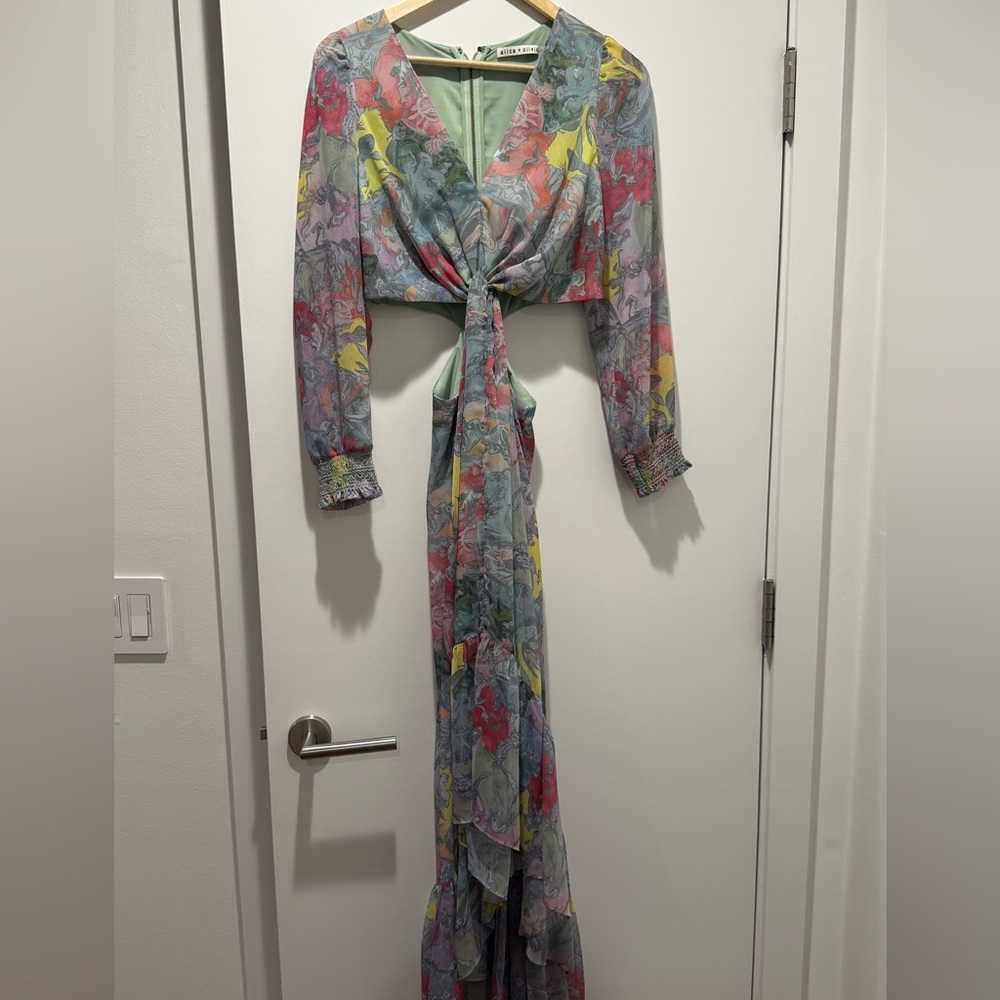 Alice + Olivia Sundress